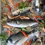 Mercurio Sul Mare - Fish Restaurant And Private מלון קאפו ואטיצ'אנו