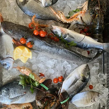 Hotel Mercurio Sul Mare - Fish Restaurant And Private