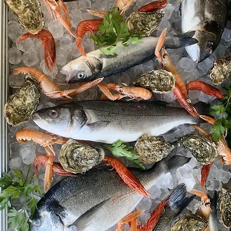 Mercurio Sul Mare - Fish Restaurant And Private Hotel Capo Vaticano