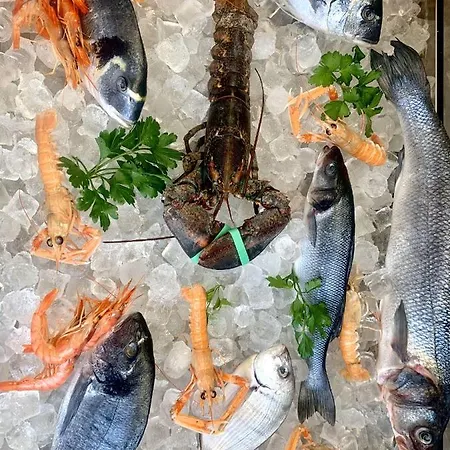 Hotel Mercurio Sul Mare - Fish Restaurant And Private