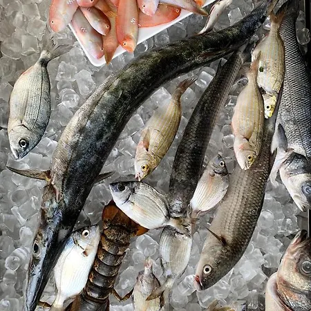 Mercurio Sul Mare - Fish Restaurant And Private Hotel 3*