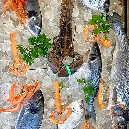 فندق Mercurio Sul Mare - Fish Restaurant And Private كابو فاتيكانو