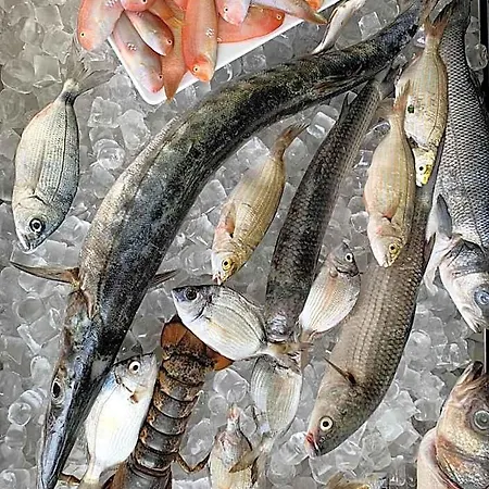 Mercurio Sul Mare - Fish Restaurant And Private 3* كابو فاتيكانو