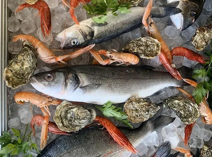 Mercurio Sul Mare - Fish Restaurant And Private Hotell Capo Vaticano