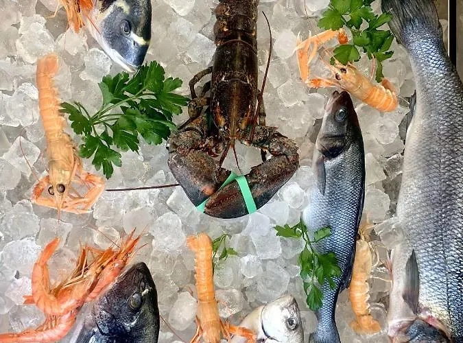 Hotell Mercurio Sul Mare - Fish Restaurant And Private