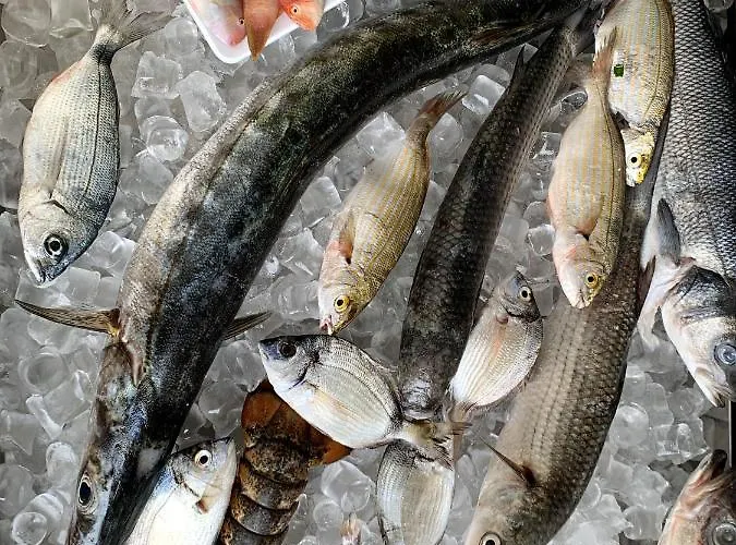 Mercurio Sul Mare - Fish Restaurant And Private Hotell 3*