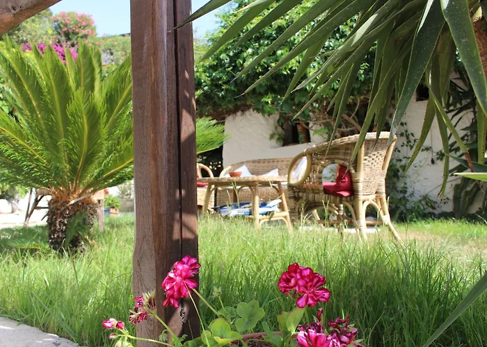 Mercurio Sul Mare - Fish Restaurant And Private Hotell Capo Vaticano